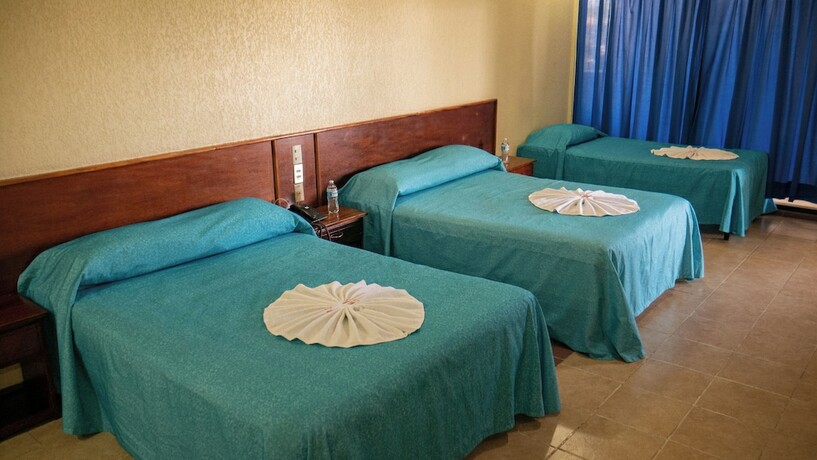 Imagen de la habitación del Hotel Plaza Mazari. Foto 19