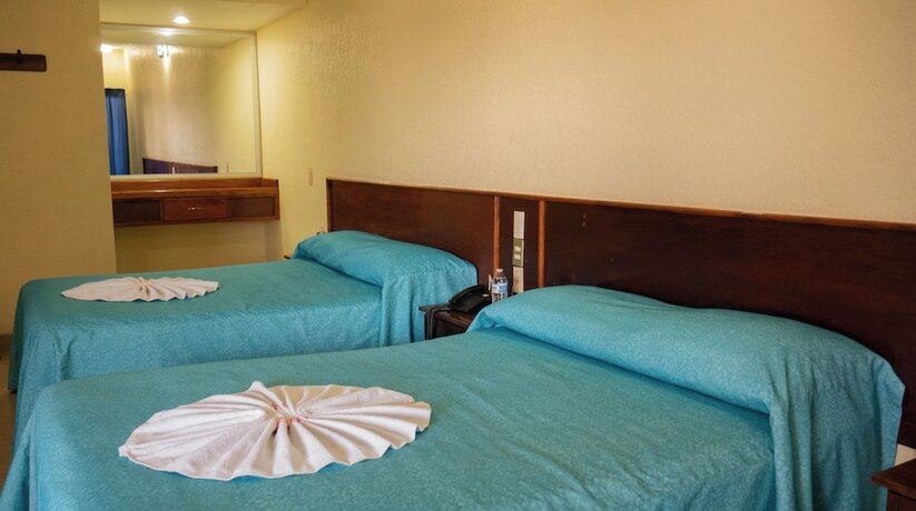 Imagen general del Hotel Plaza Mazari. Foto 12