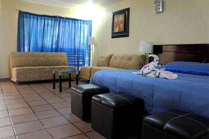 Imagen general del Hotel Plaza Mazari. Foto 15