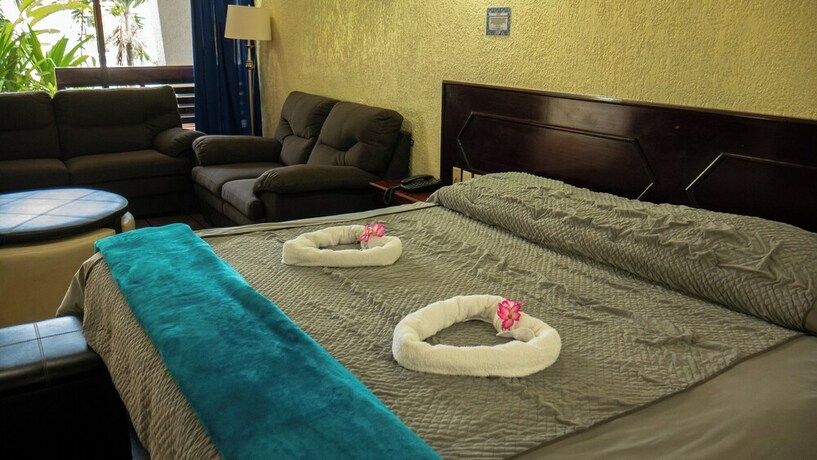 Imagen de la habitación del Hotel Plaza Mazari. Foto 20
