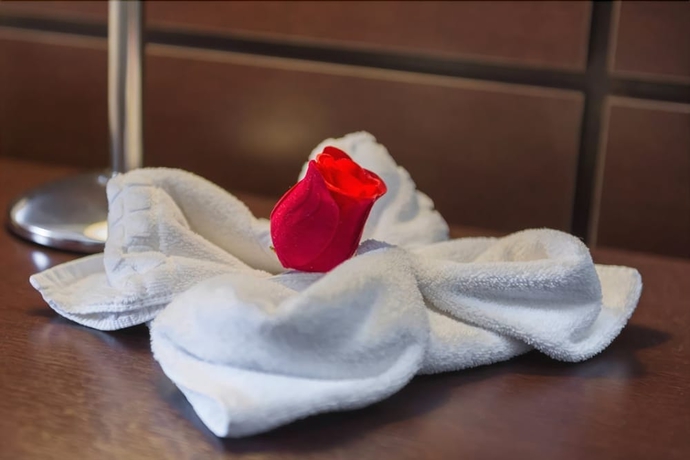 Imagen de la habitación del Hotel Plaza Norte. Foto 14