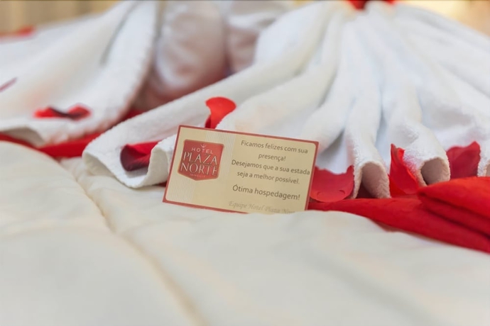 Imagen de la habitación del Hotel Plaza Norte. Foto 15