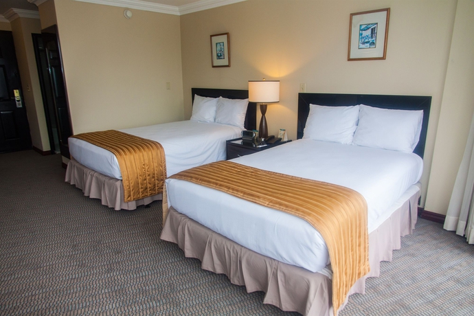 Imagen de la habitación del Hotel Plaza Paitilla Inn. Foto 11