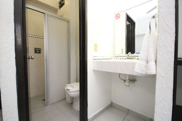 Imagen de los interiores del Hotel Plaza Premier, Le&oacute;n. Foto 13