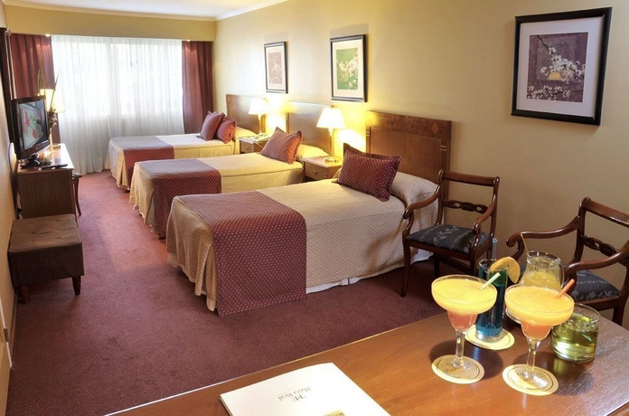 Imagen de la habitación del Hotel Plaza Real Suites. Foto 3