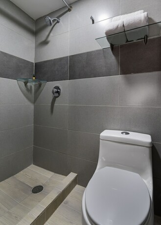 Imagen general del Hotel Plaza Regina Torreón. Foto 16