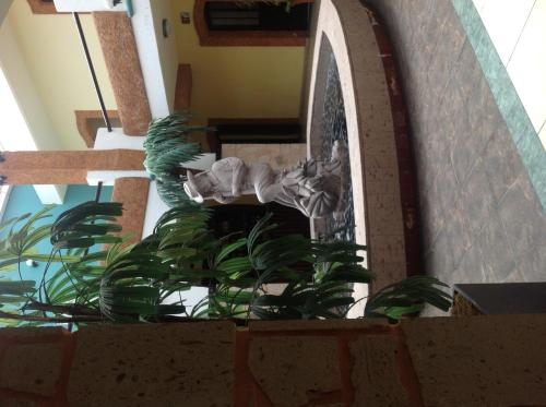 Imagen general del Hotel Plaza Rubio. Foto 5