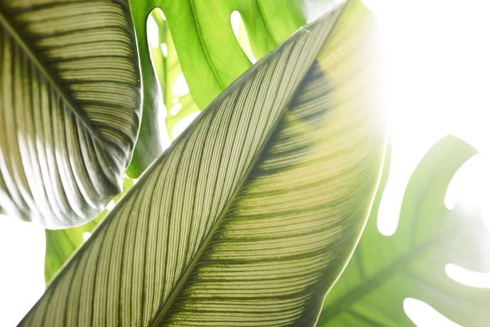 Imagen de la piscina del Hotel Plaza San Antonio and Spa, Autograph Collection. Foto 20