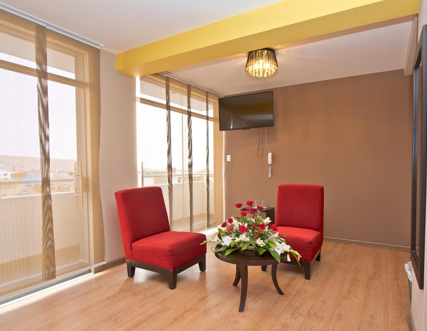 Imagen general del Hotel Plaza Sur & Suites. Foto 8