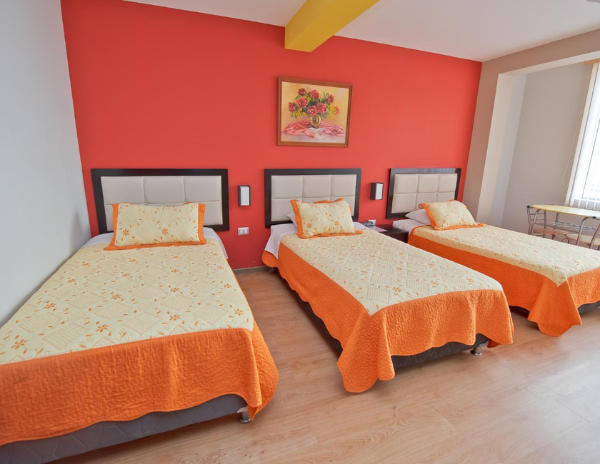 Imagen general del Hotel Plaza Sur & Suites. Foto 10