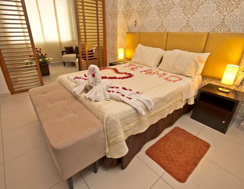 Imagen general del Hotel Plaza Sur & Suites. Foto 12