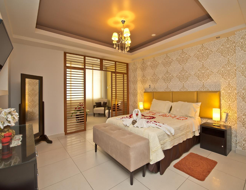 Imagen general del Hotel Plaza Sur & Suites. Foto 13