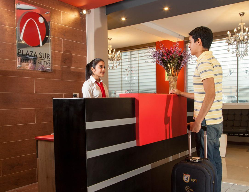 Imagen general del Hotel Plaza Sur & Suites. Foto 18