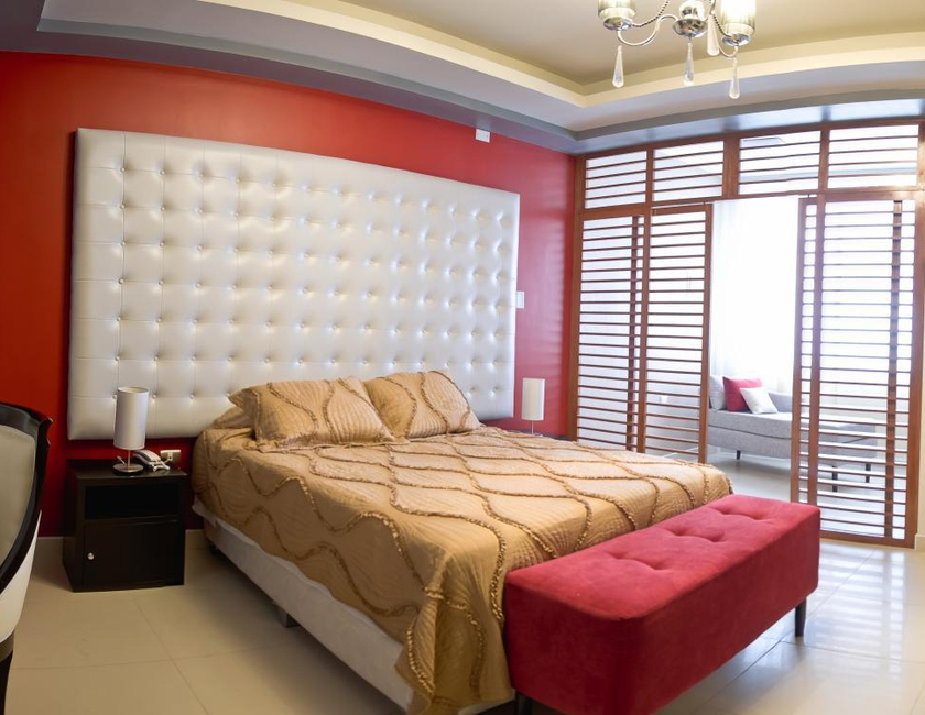 Imagen general del Hotel Plaza Sur & Suites. Foto 22