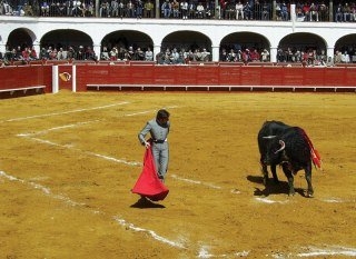 Imagen de los exteriores del Hotel Plaza de Toros de Almaden. Foto 7