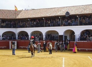 Imagen de los exteriores del Hotel Plaza de Toros de Almaden. Foto 8