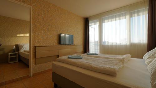 Imagen general del Hotel Plazs Si&oacute;fok. Foto 5