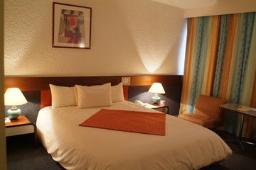 Imagen de la habitación del Hotel Plazza Alpexpo. Foto 3