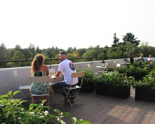 Imagen general del Hotel Plea Beach House - Hostel. Foto 3