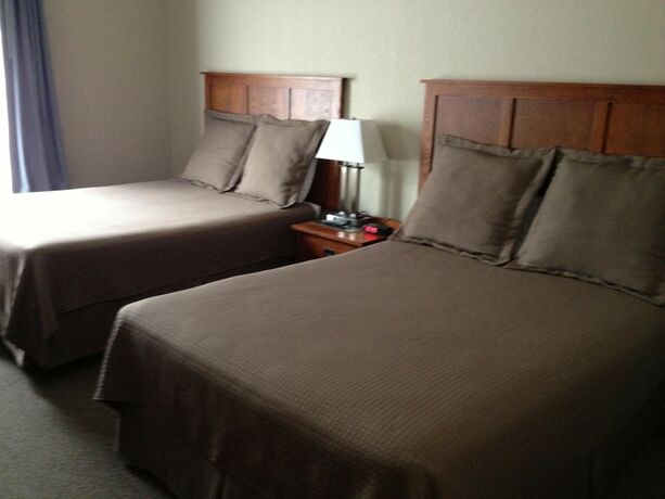Imagen general del Hotel Pleasant Night Inn. Foto 1