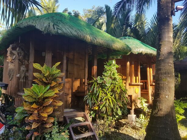 Imagen general del Hotel Pleasant Valley Guesthouse - Baler. Foto 9