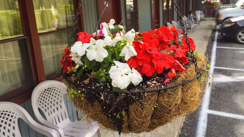 Imagen general del Hotel Pleasant Valley Motel West Stockbridge. Foto 6