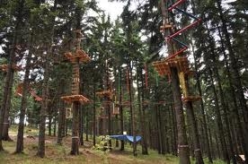 Imagen general del Hotel Plesivec. Foto 2