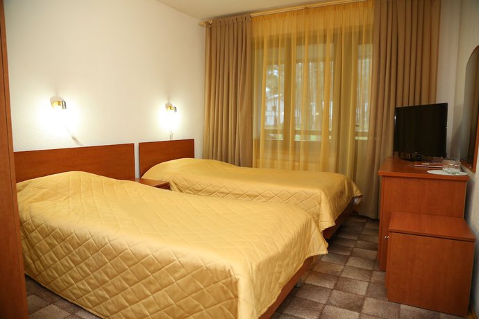 Imagen de la habitación del Hotel Pleskov. Foto 8