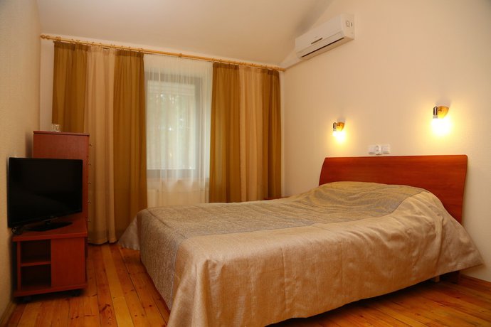 Imagen de la habitación del Hotel Pleskov. Foto 9