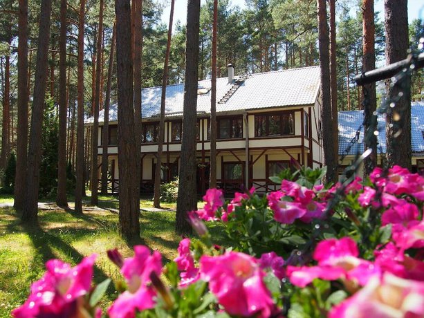 Imagen general del Hotel Pleskov. Foto 1