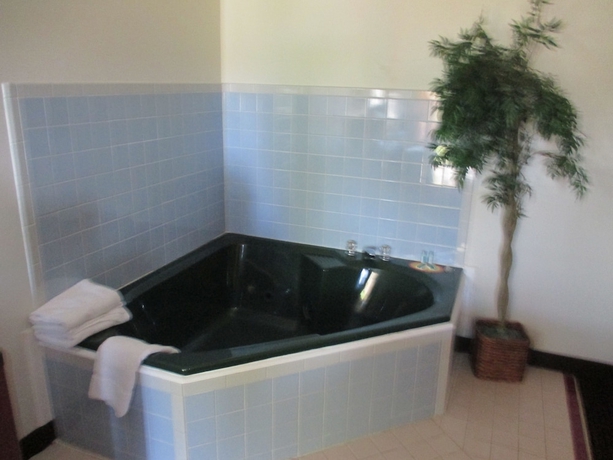 Imagen de la piscina del Hotel Plum Tree Inn. Foto 13