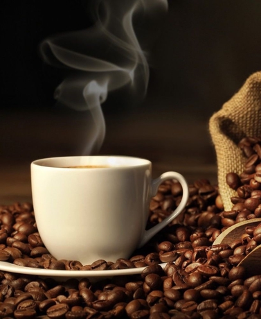 Imagen del bar/restaurante del Hotel P&oacute;rtico Concept. Foto 6