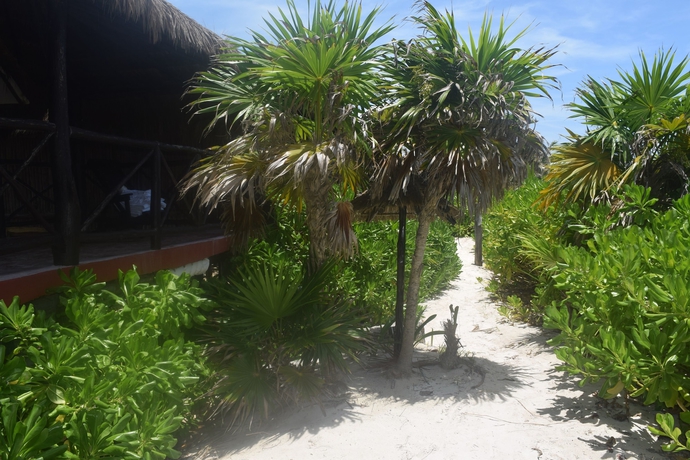 Imagen de los exteriores del Hotel Poc Na. Foto 13