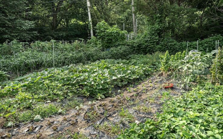 Imagen general del Hotel Pocheon Kingdom. Foto 11