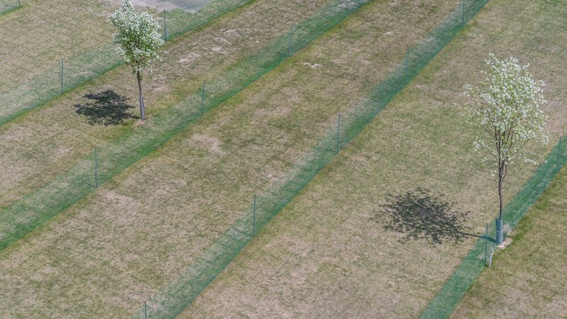 Imagen de la habitación del Hotel Pocheon Oneul Resort. Foto 15