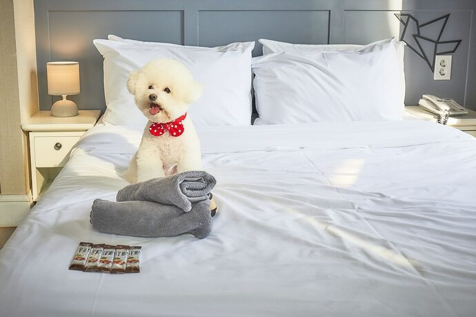 Imagen general del Hotel Poco Seongsu. Foto 10