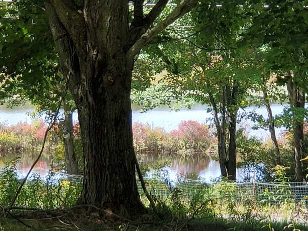 Imagen general del Hotel Pocono Mountains Hotel and Spa. Foto 3