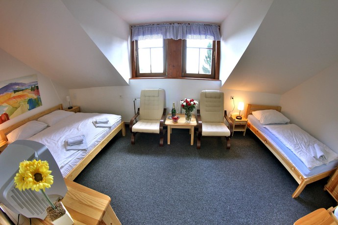 Imagen de la habitación del Hotel Pod &Scaron;ikmou Věž&iacute;. Foto 11