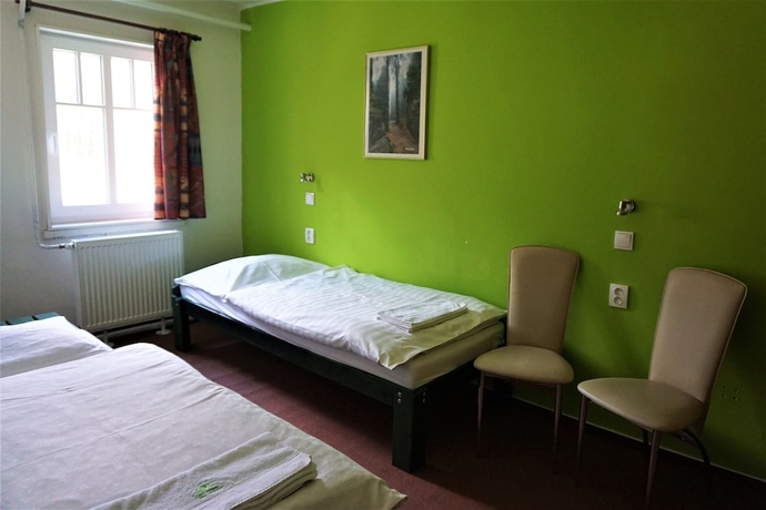 Imagen de la habitación del Hotel Pod Zvicinou. Foto 14