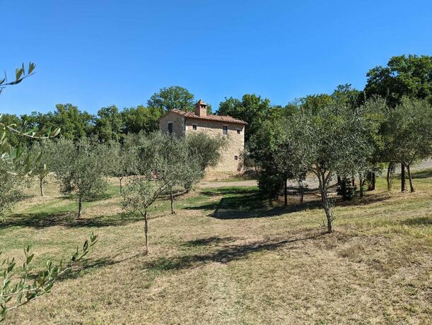 Imagen de la habitación del Hotel Podere Spedalone. Foto 20