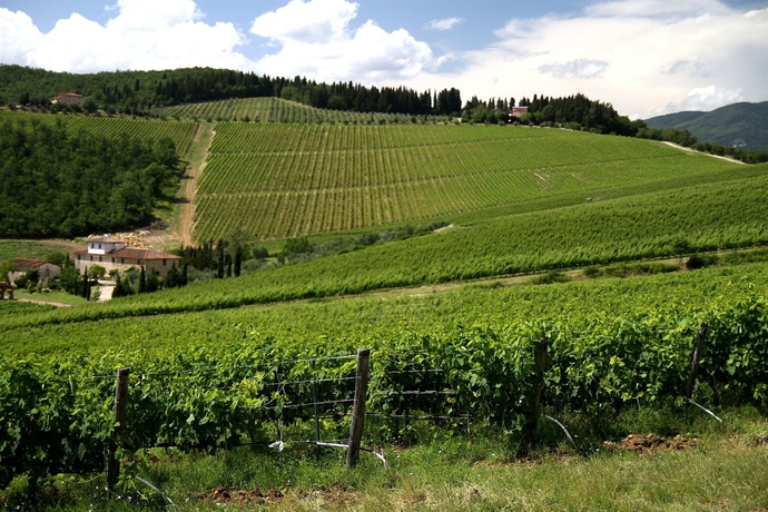 Imagen de los exteriores del Hotel Podere Vignola. Foto 7