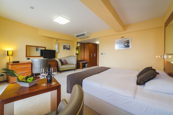 Imagen de la habitación del Hotel Podgorica. Foto 9