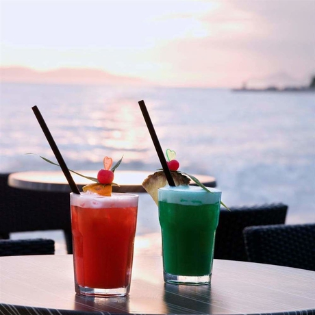 Imagen del bar/restaurante del Hotel Podgorka. Foto 4