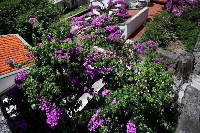 Imagen de los exteriores del Hotel Podgorka. Foto 13