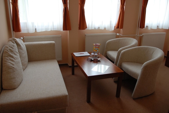 Imagen de la habitación del Hotel Podhradie. Foto 12