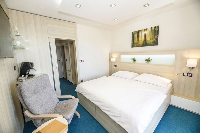Imagen de la habitación del Hotel Podles&iacute;, Sněžn&eacute;. Foto 17