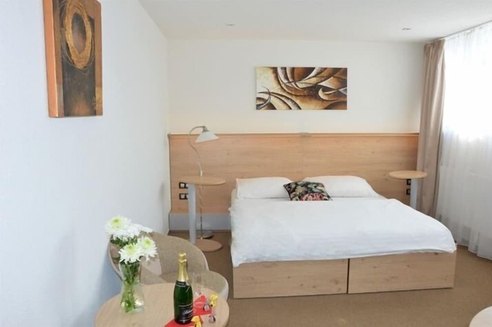 Imagen de la habitación del Hotel Podles&iacute;, Sněžn&eacute;. Foto 19