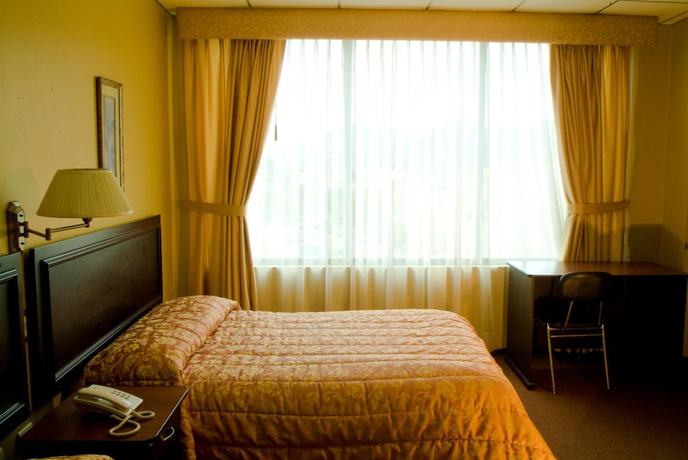 Imagen de la habitación del Hotel Podocarpus. Foto 6