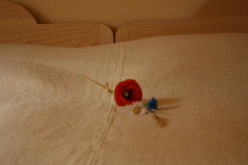 Imagen de la habitación del Hotel Podpecan Farm Rooms. Foto 9