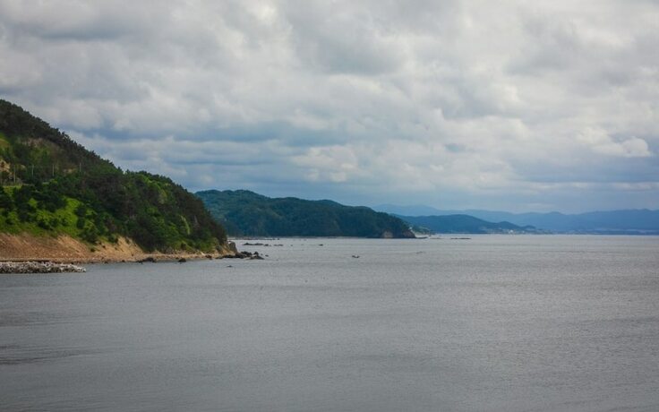 Imagen general del Hotel Pohang Bagliore Pension. Foto 10